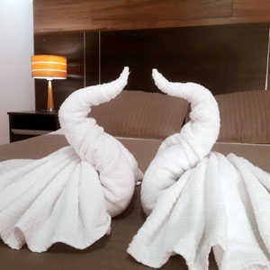 Habitación Hotel